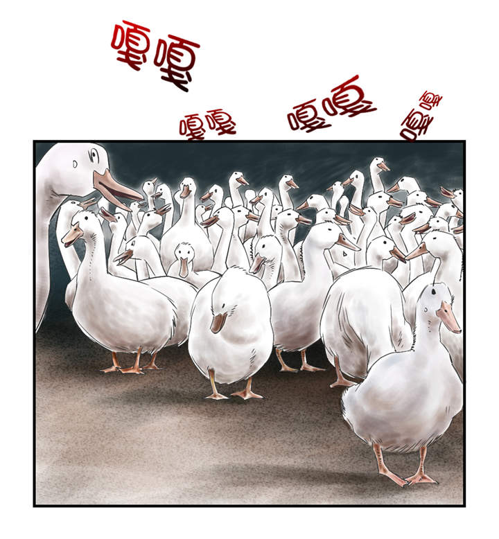 第31章：农场遇袭13