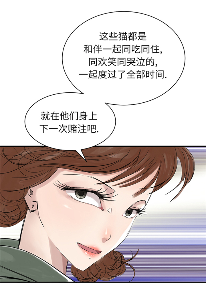 第78章：刺杀行动24