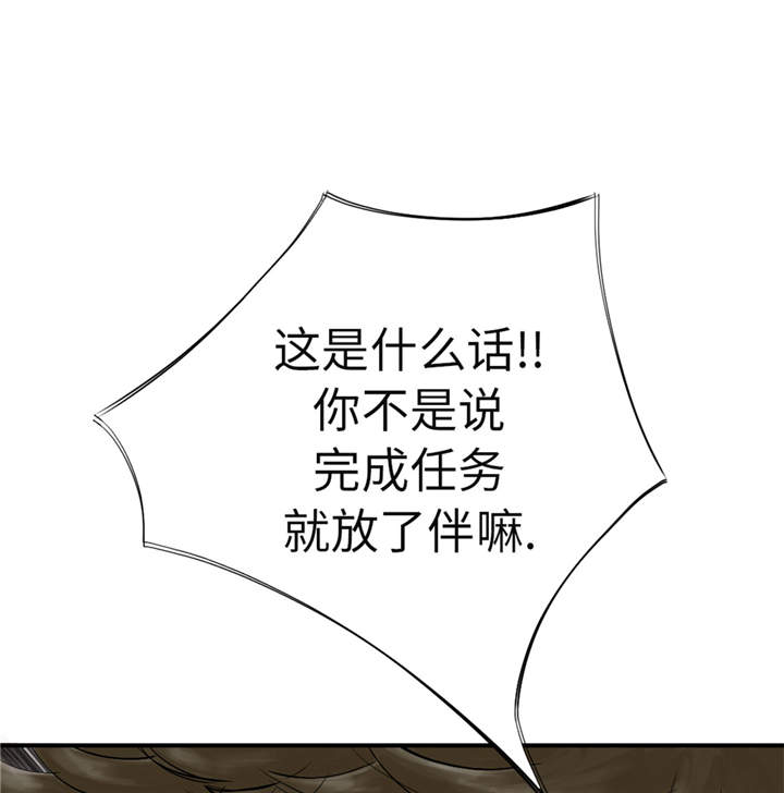 第48章：计划有变28