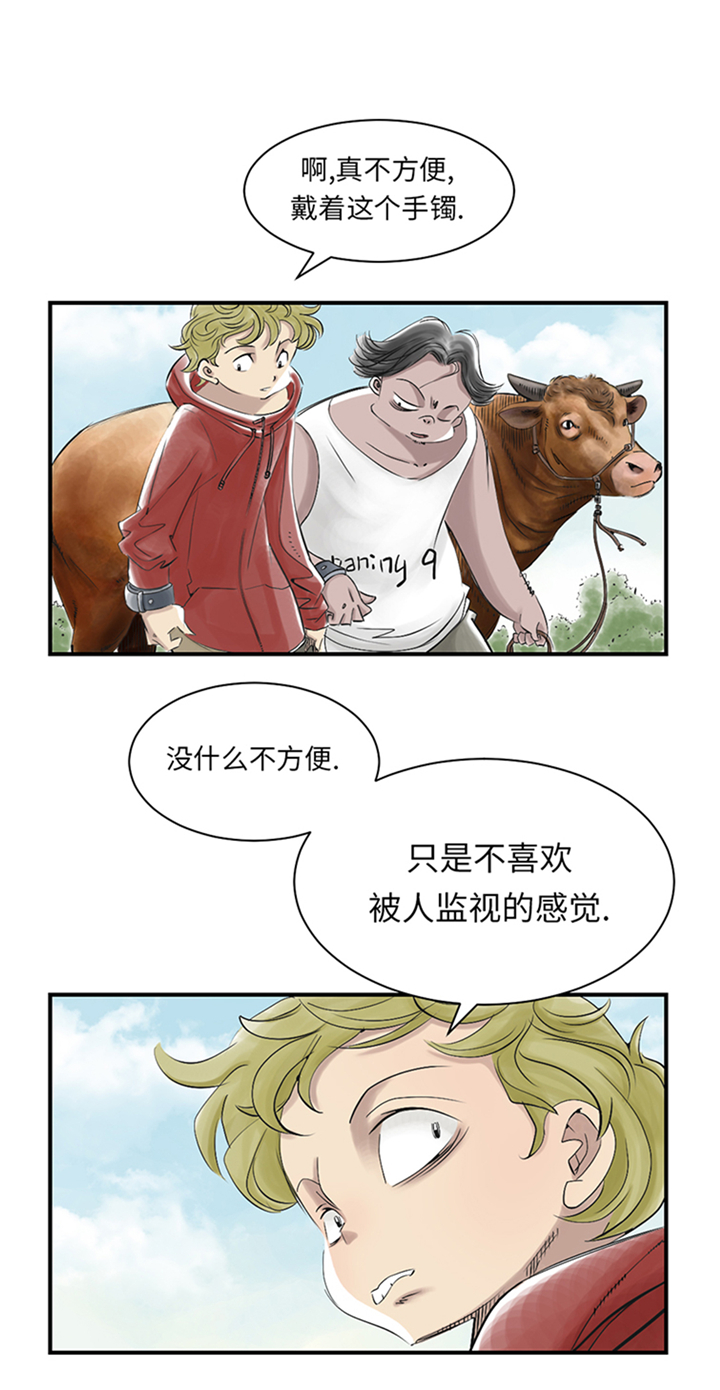 第94章：永不结束的战争(大结局)38