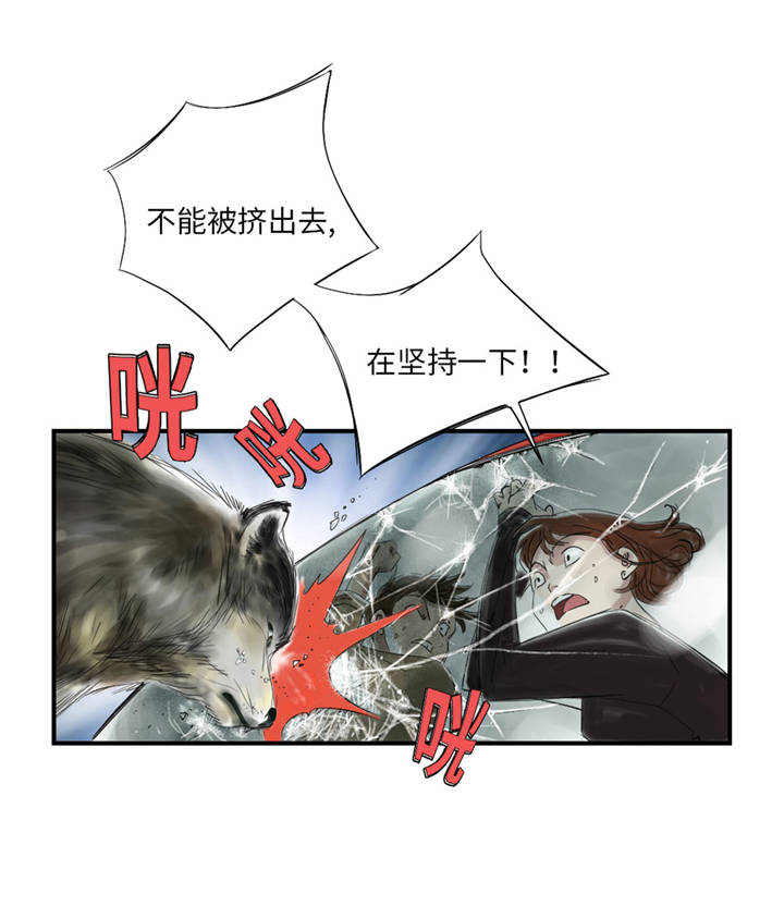 第35章：新兽种24