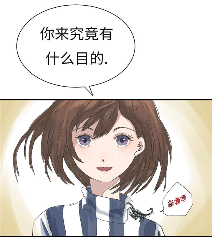 第30章： 双胞胎2