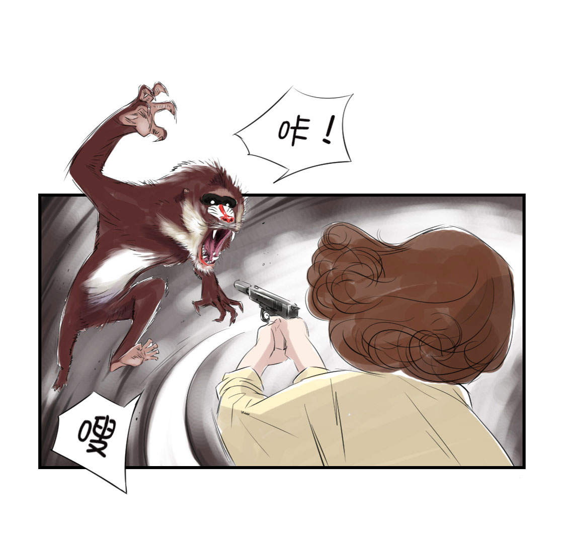 第19章：危险时刻（二）33