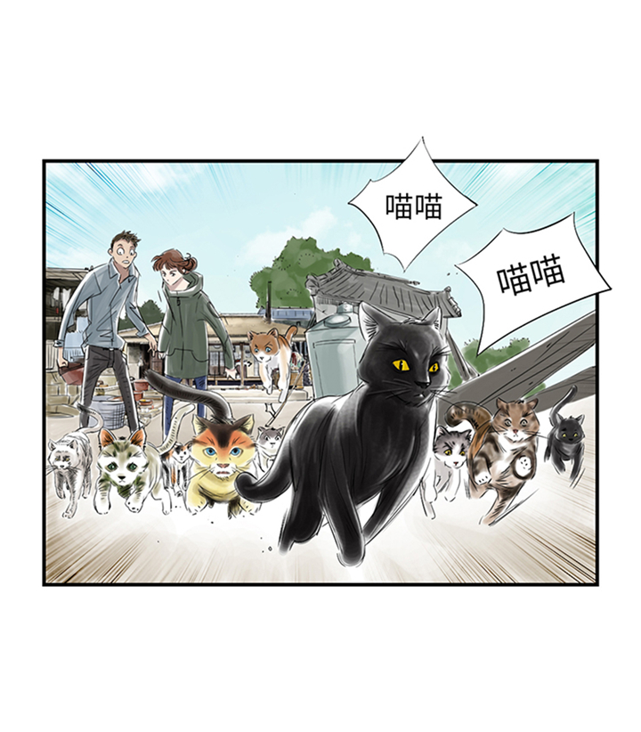 第78章：刺杀行动22