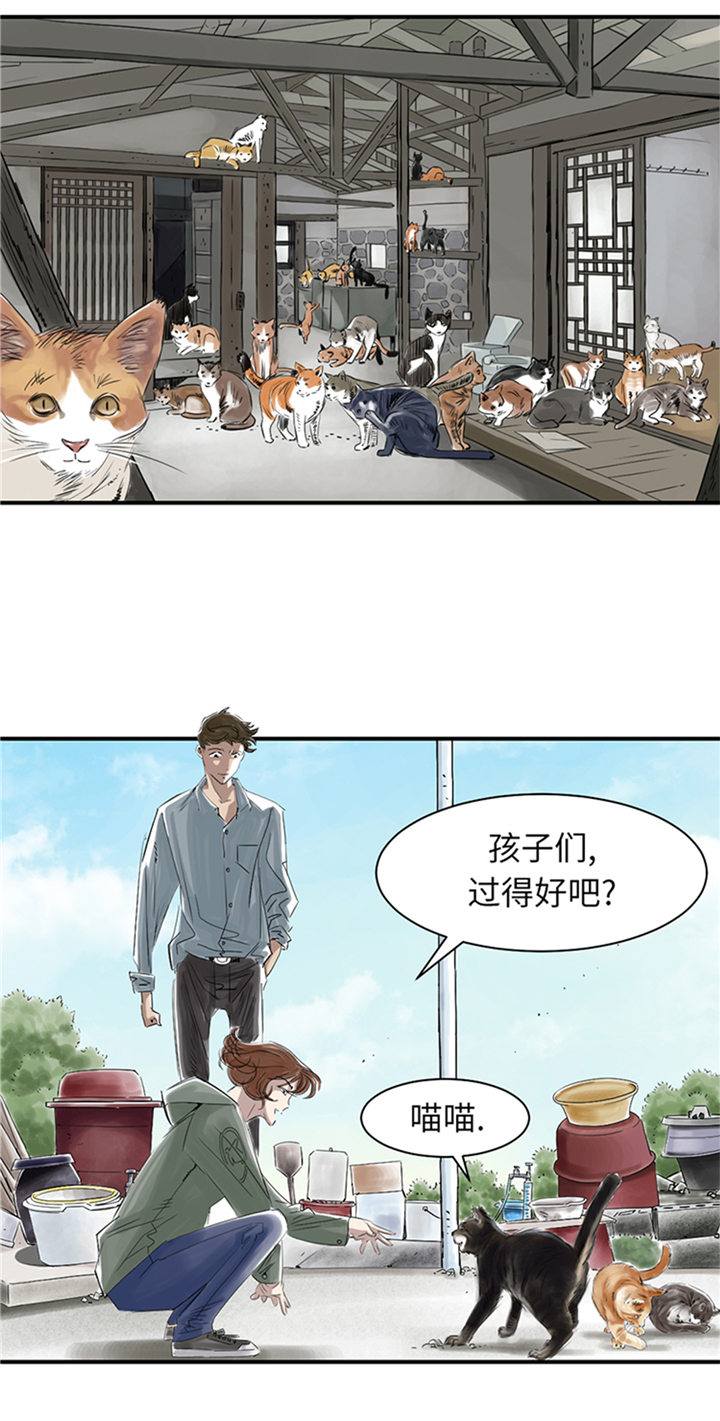 第78章：刺杀行动14