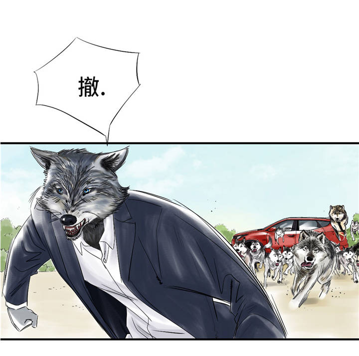 第37章：赌上警察生涯24