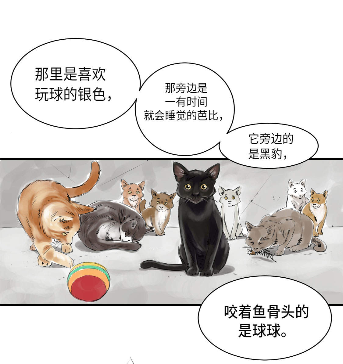 第4章：兽种 伴36