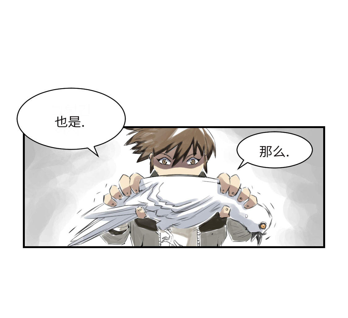 第14章： 特别任务27