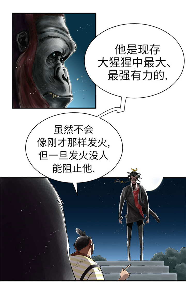 第58章：专属表演18