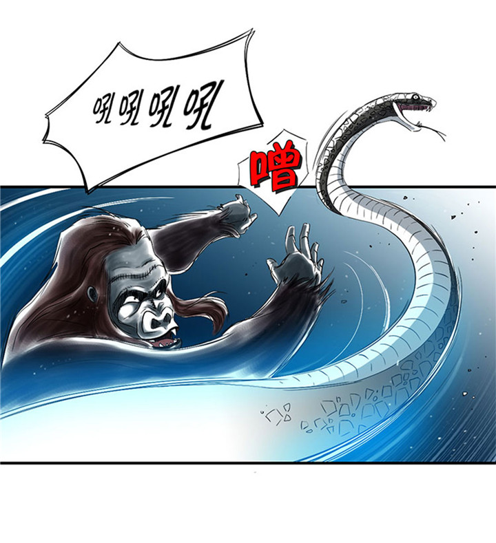 第59章：撕烂你的嘴13