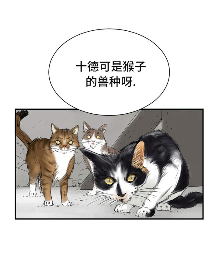 第23章：属于兽种的战役33
