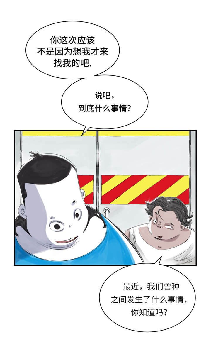 第26章：小猎犬0