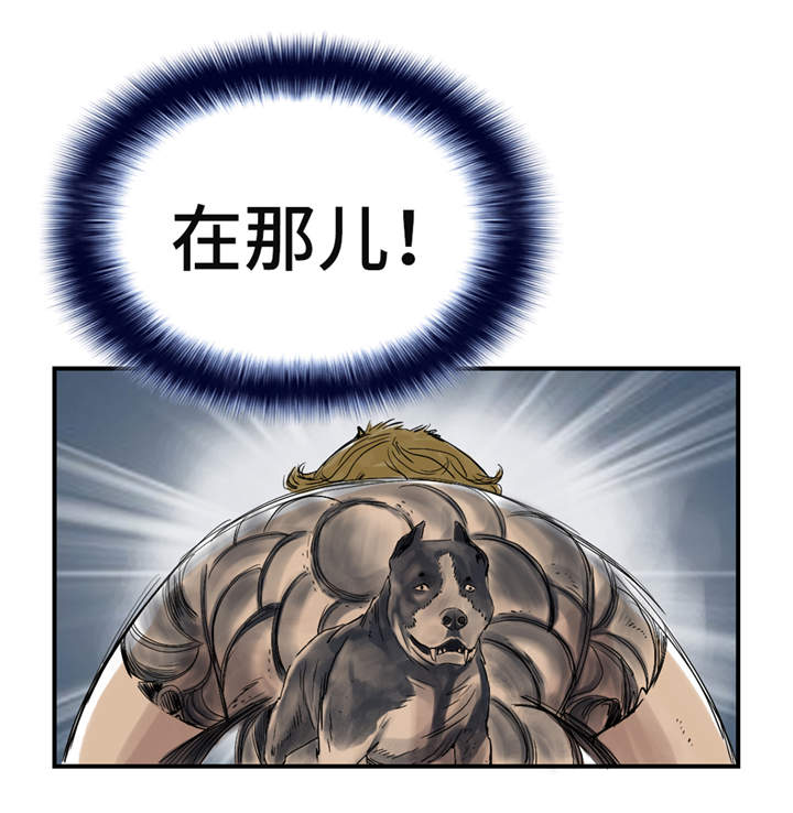 第27章：你不是挺能打的吗8
