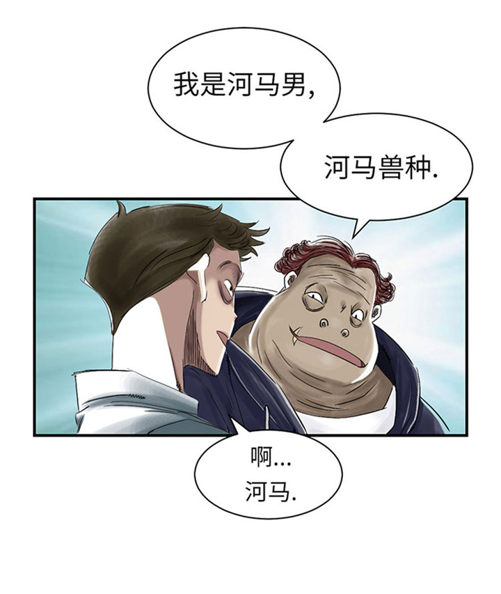 第56章：河马28