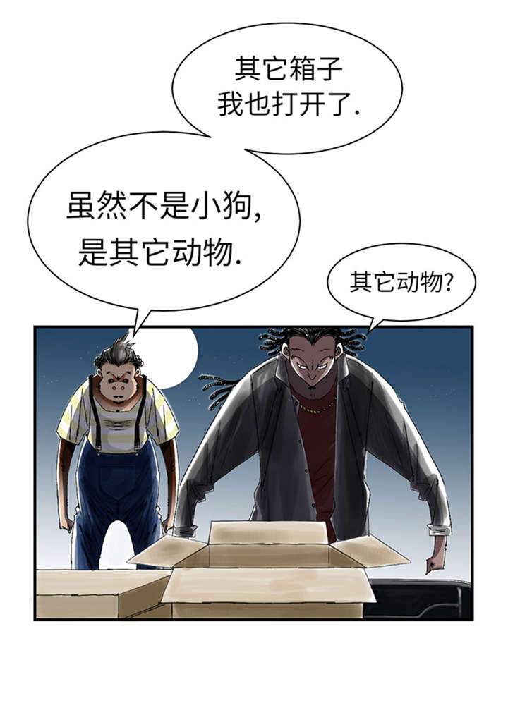 第52章： 惹恼了5