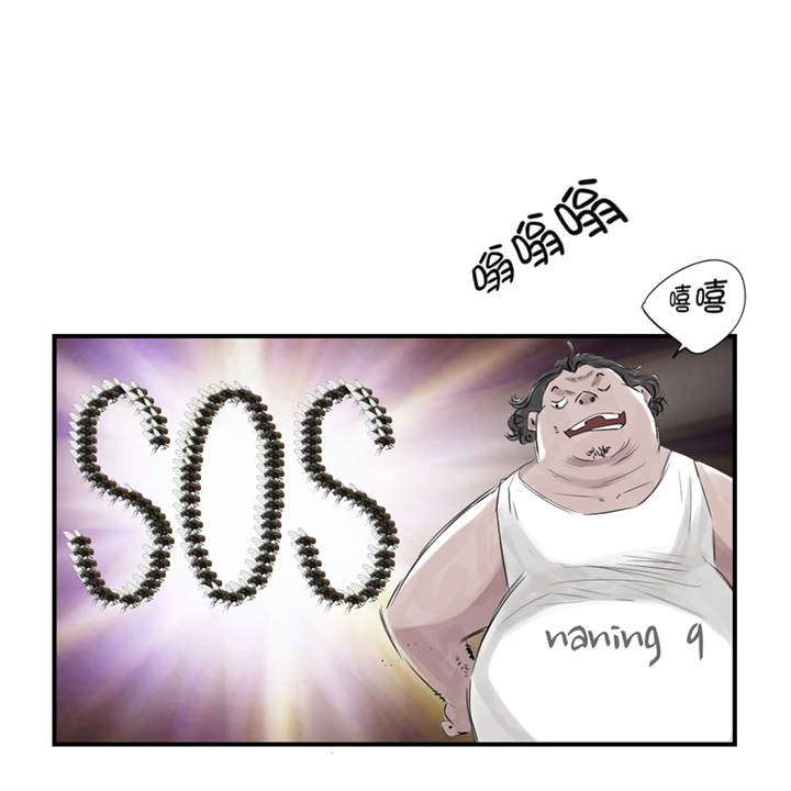 第22章：苍蝇兽种37