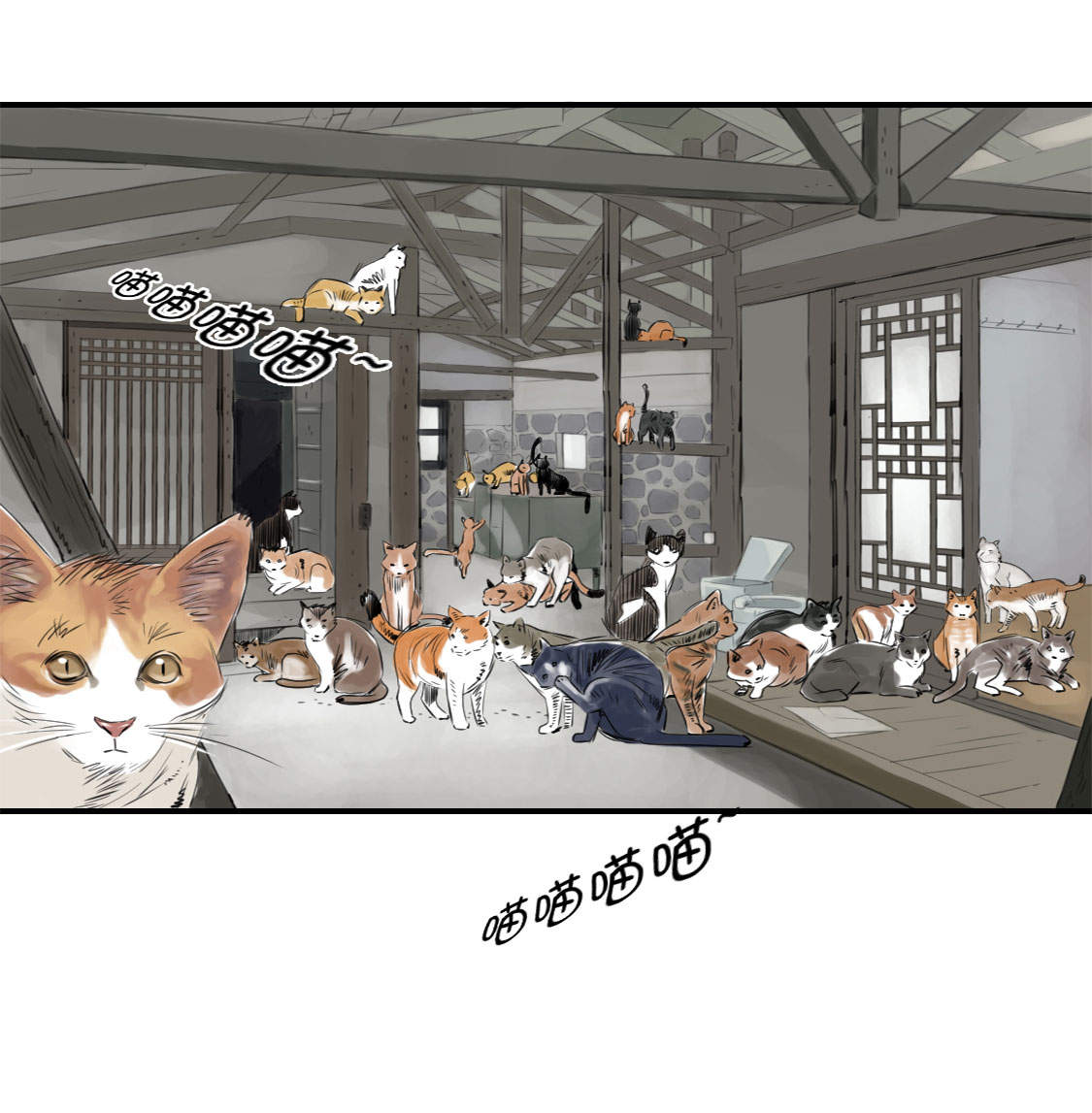 第4章：兽种 伴29