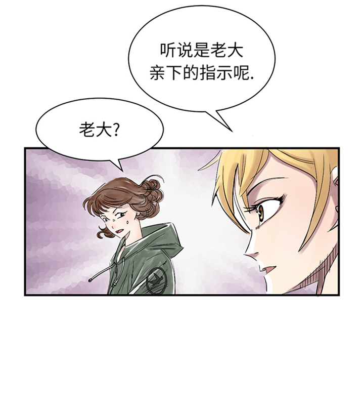 第88章：计划开始17