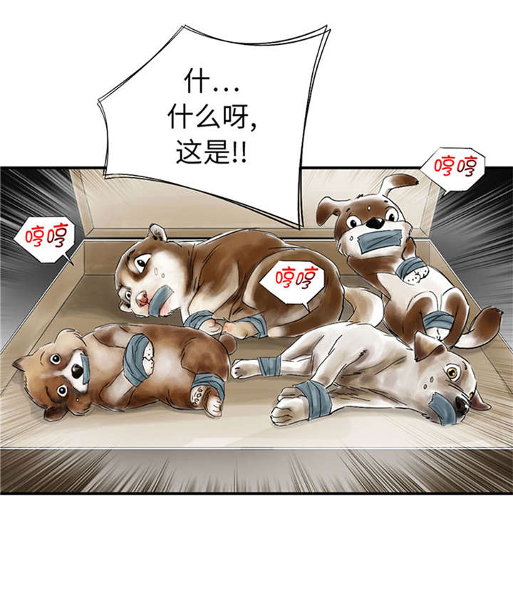 第52章： 惹恼了3
