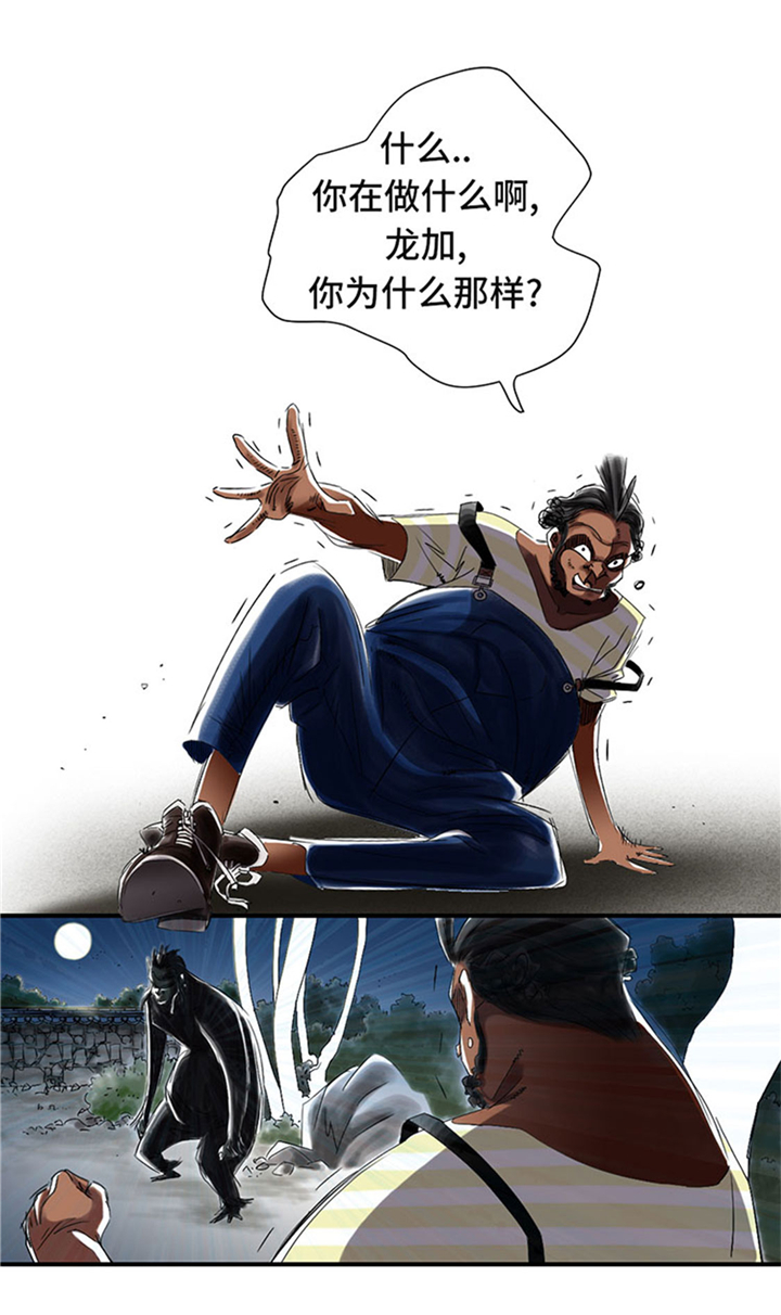 第60章：原因是什么19