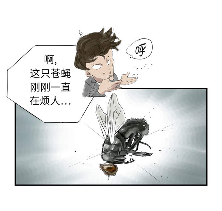 第22章：苍蝇兽种29