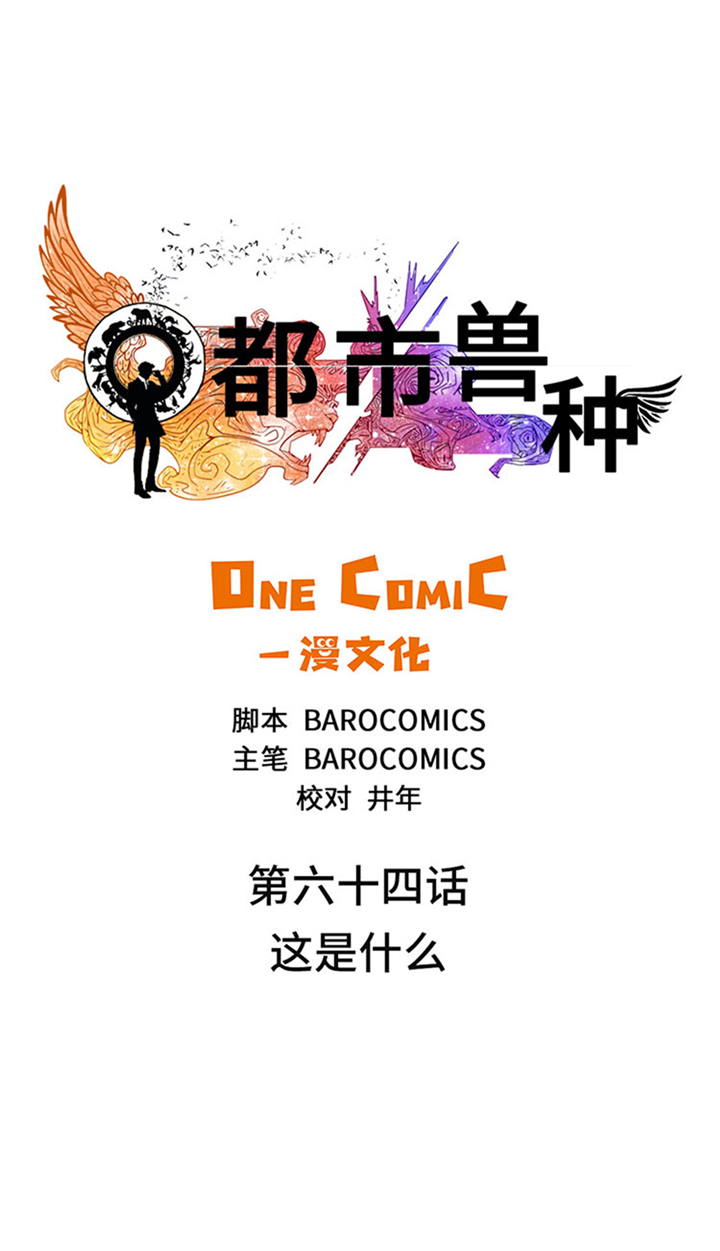 第64章：这是什么15