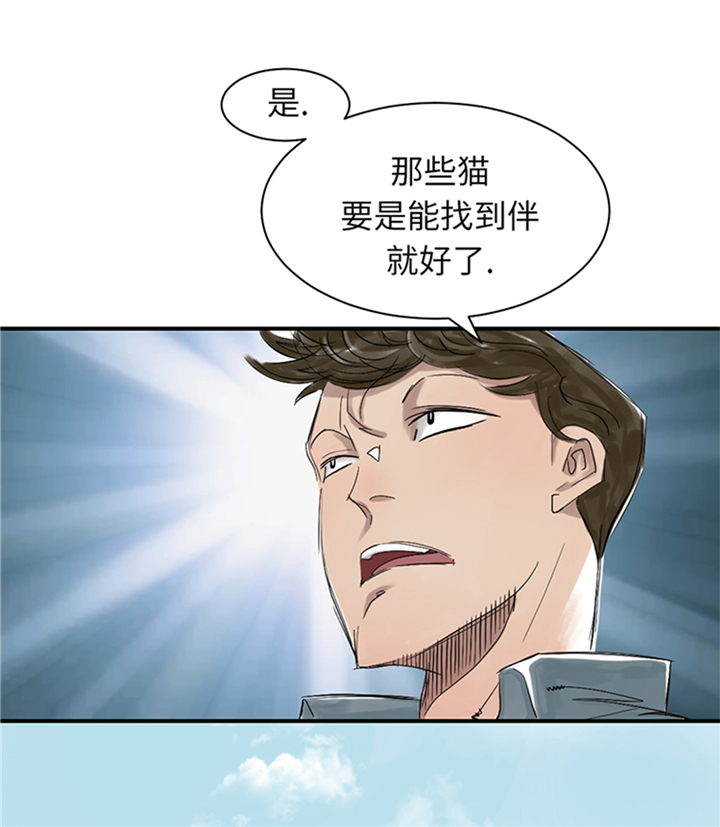 第78章：刺杀行动25