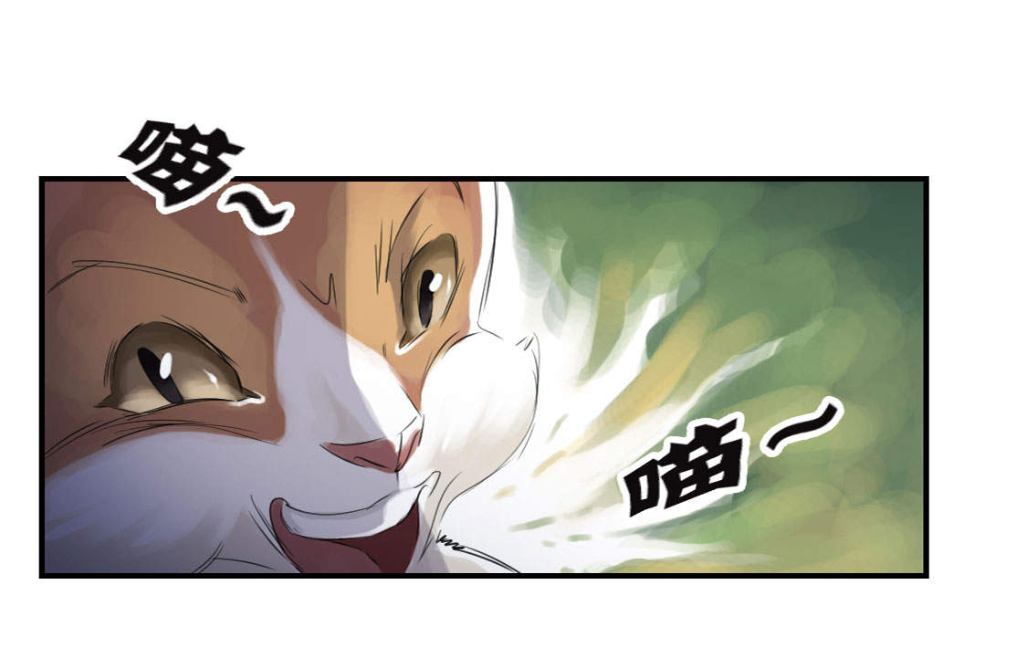 第6章： 阴谋的诞生12