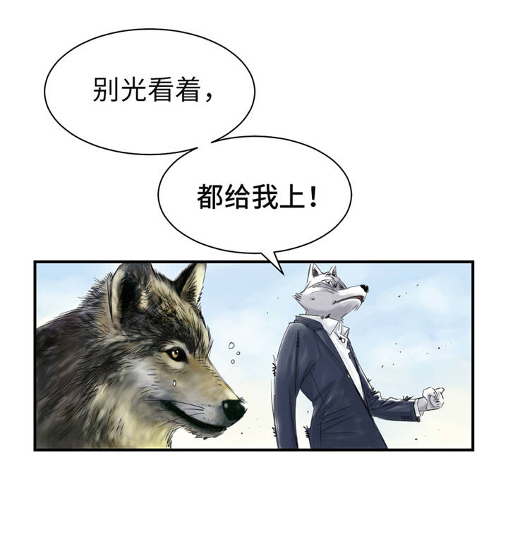 第35章：新兽种21