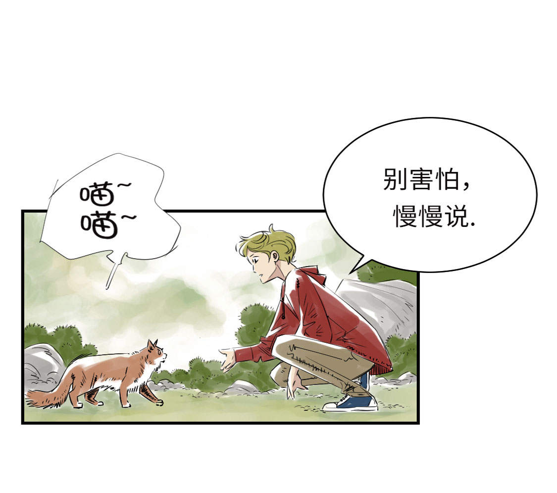 第6章： 阴谋的诞生11