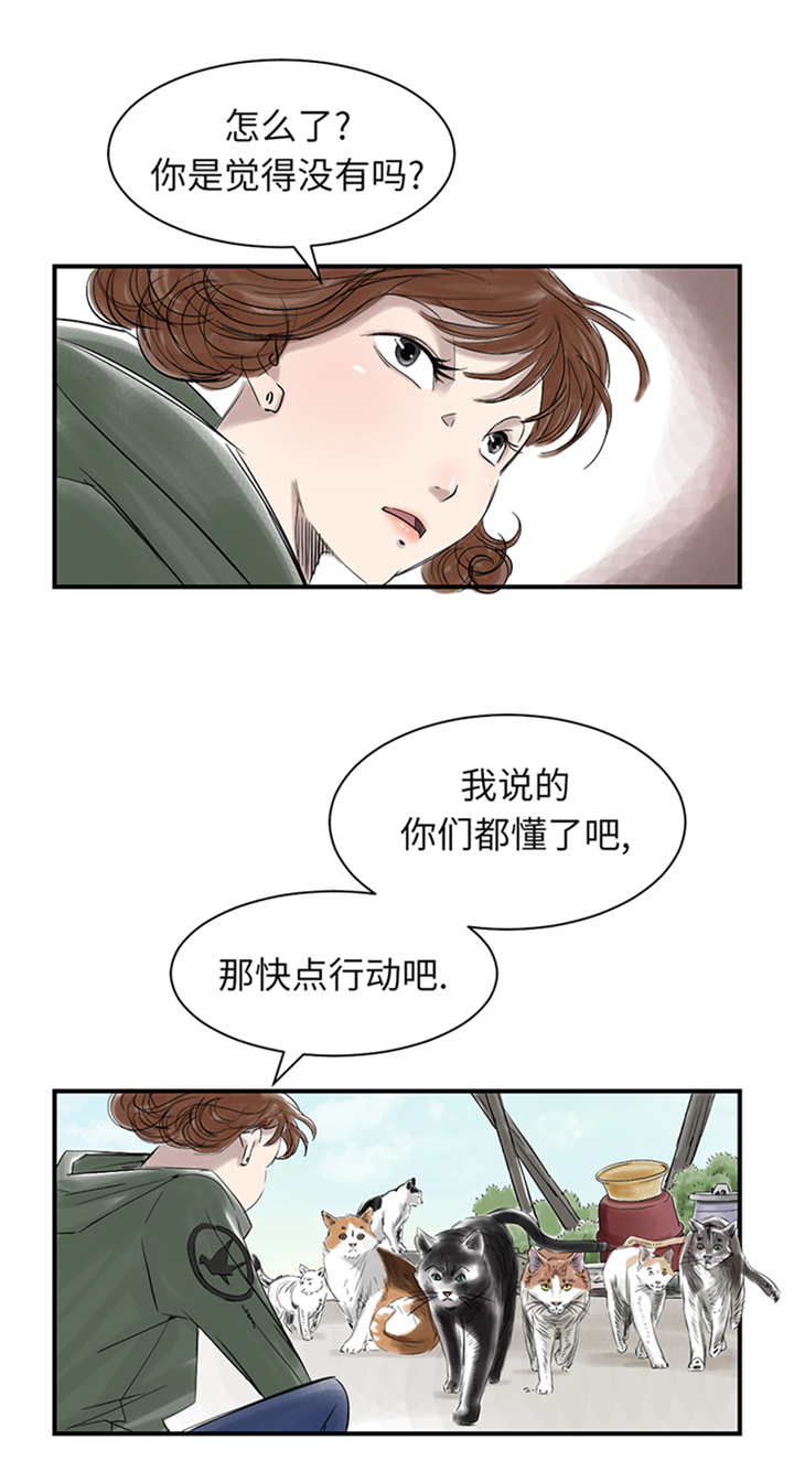 第78章：刺杀行动20