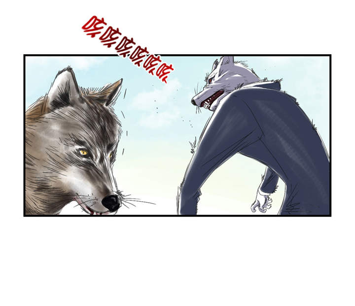 第33章：召唤同伴22