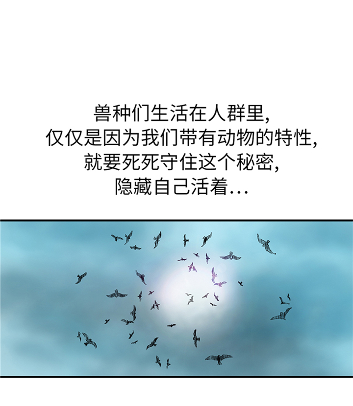 第94章：永不结束的战争(大结局)44