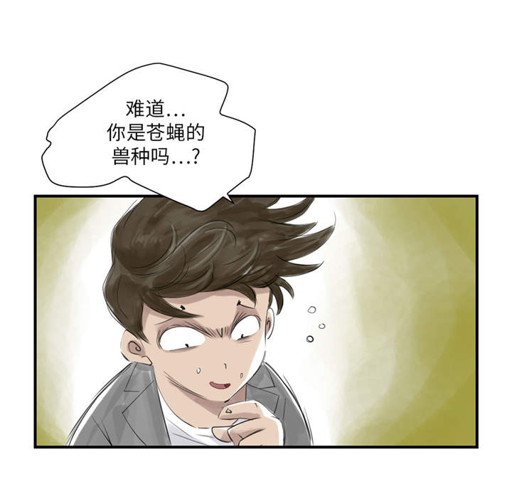 第22章：苍蝇兽种31