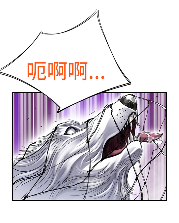 第66章：押回去18
