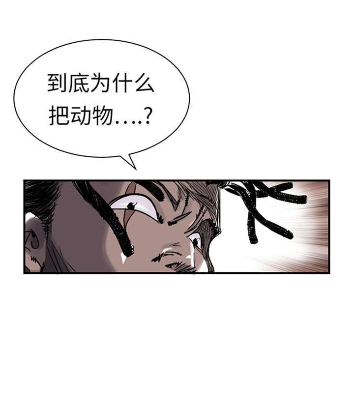 第52章： 惹恼了6