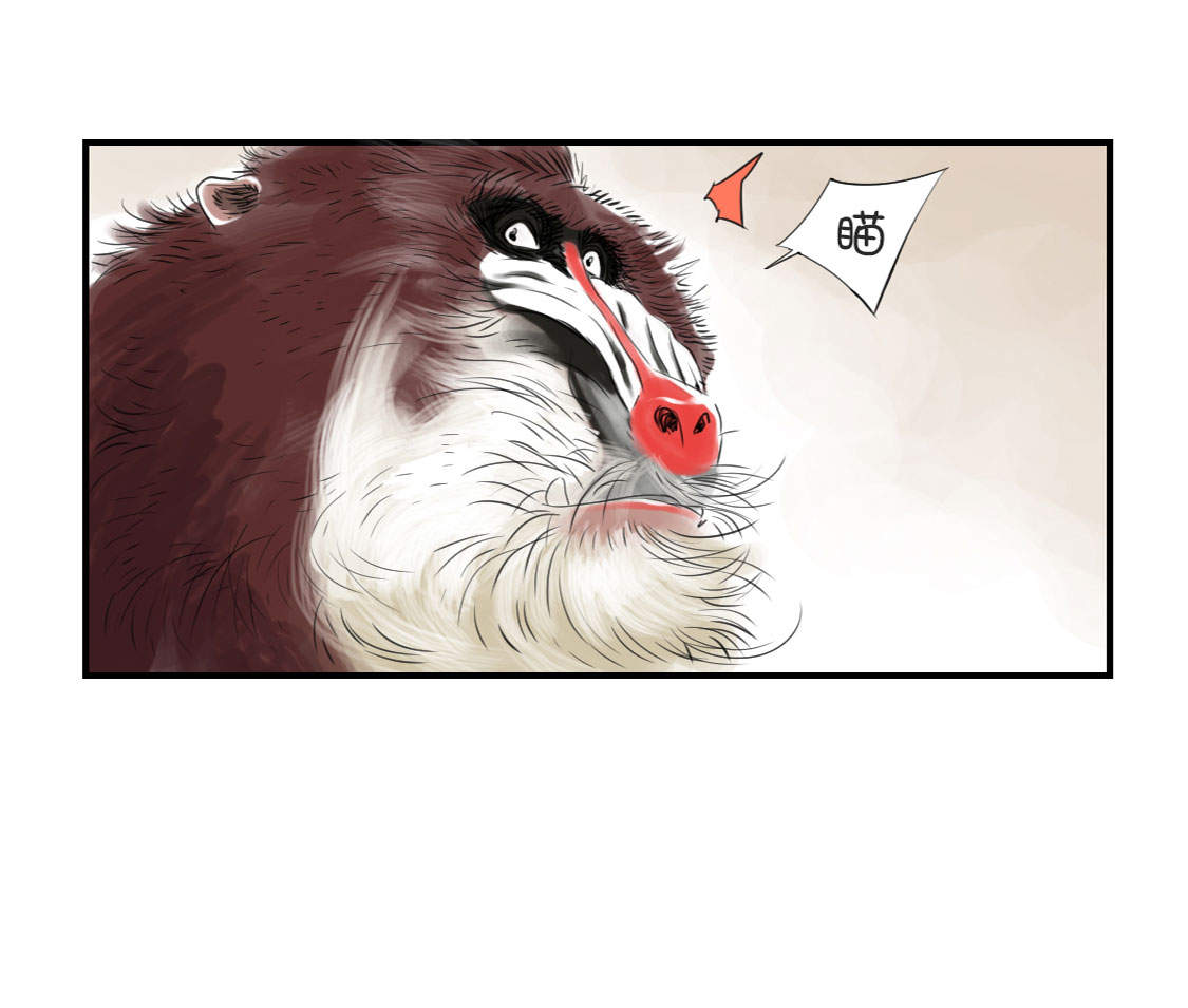 第11章：消失的动物（二）27