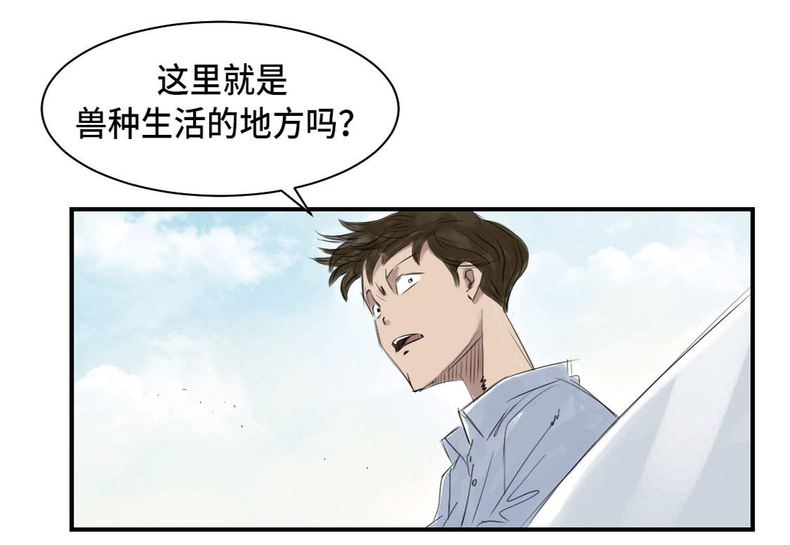 第4章：兽种 伴20
