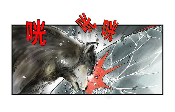 第37章：赌上警察生涯11