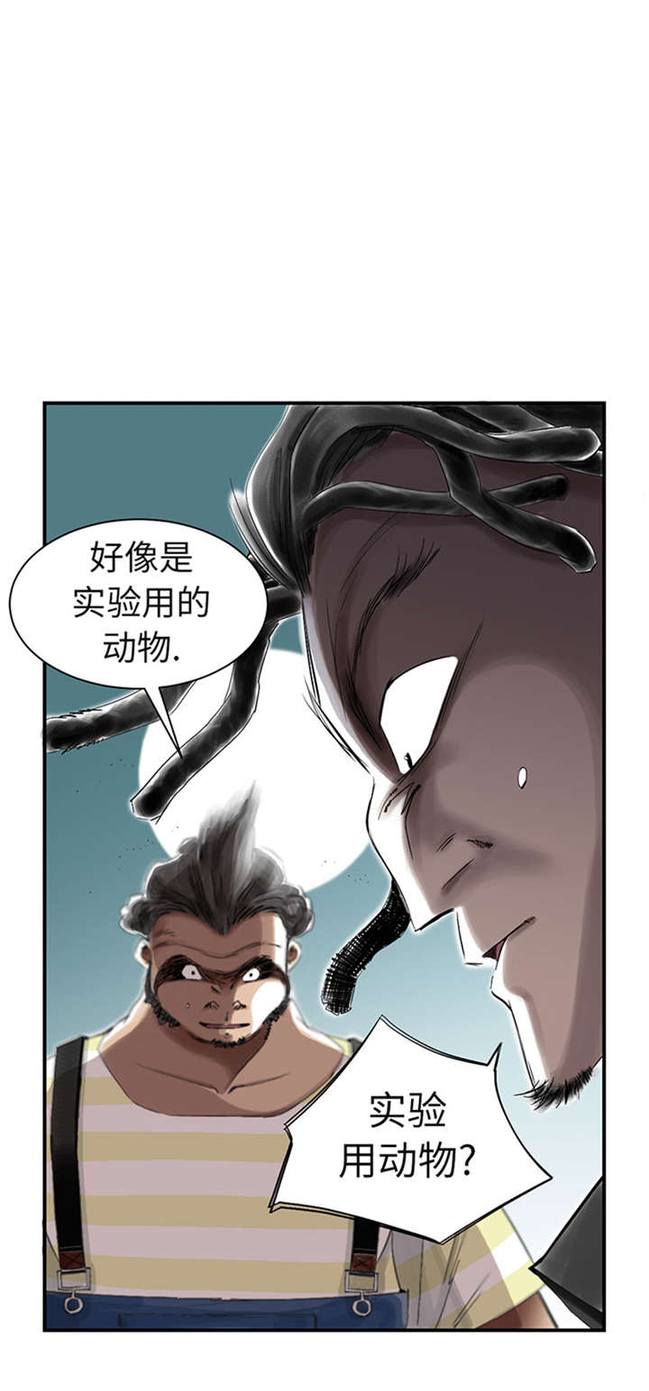 第52章： 惹恼了8