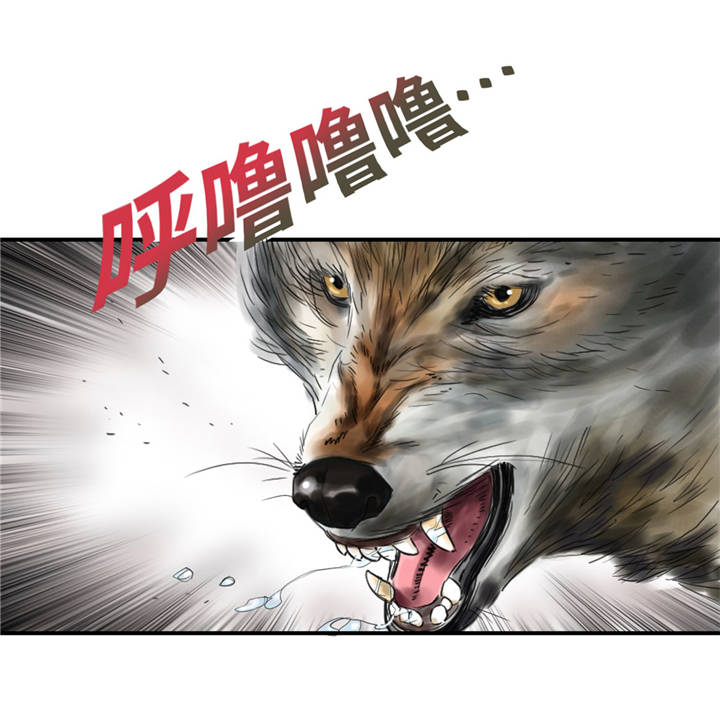 第35章：新兽种25