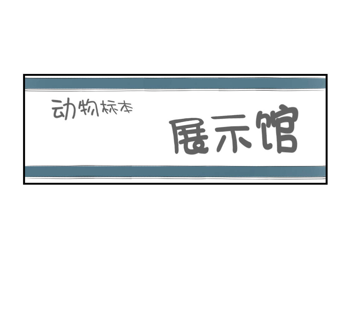 第11章：消失的动物（二）15