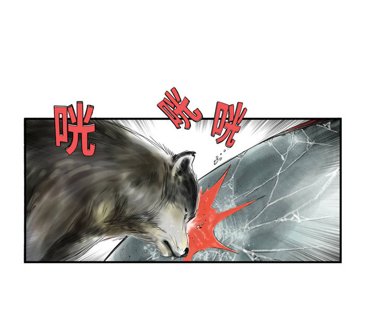 第35章：新兽种22