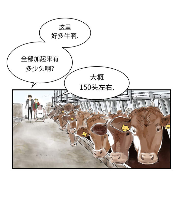 第22章：苍蝇兽种24