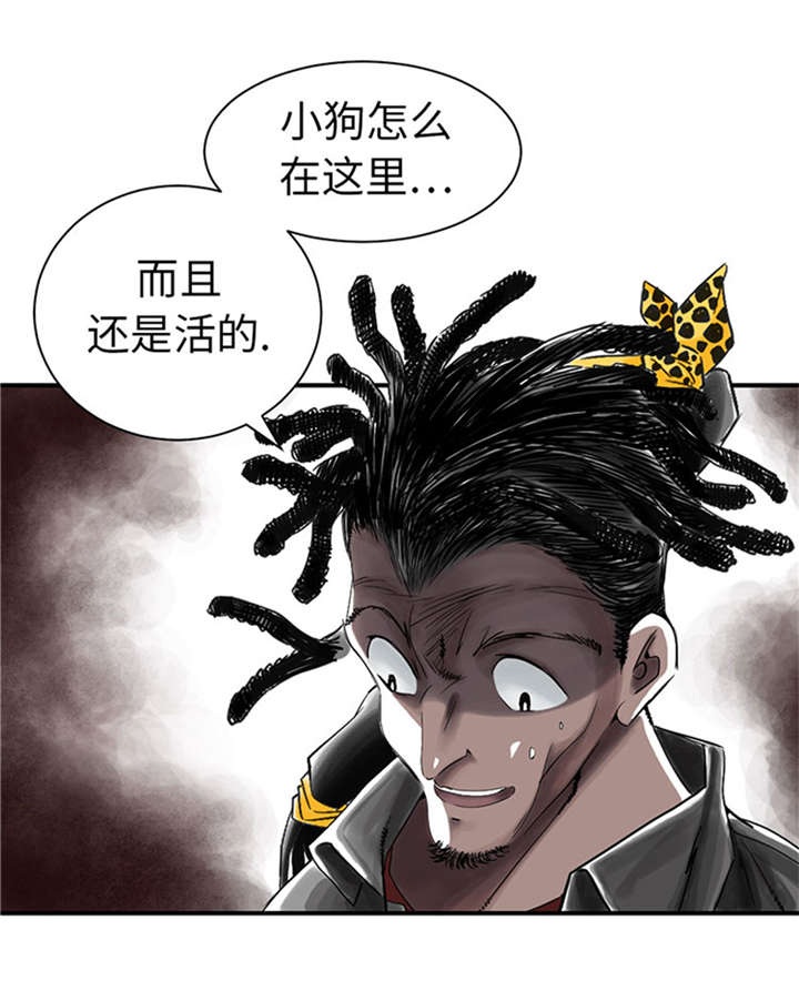 第52章： 惹恼了4