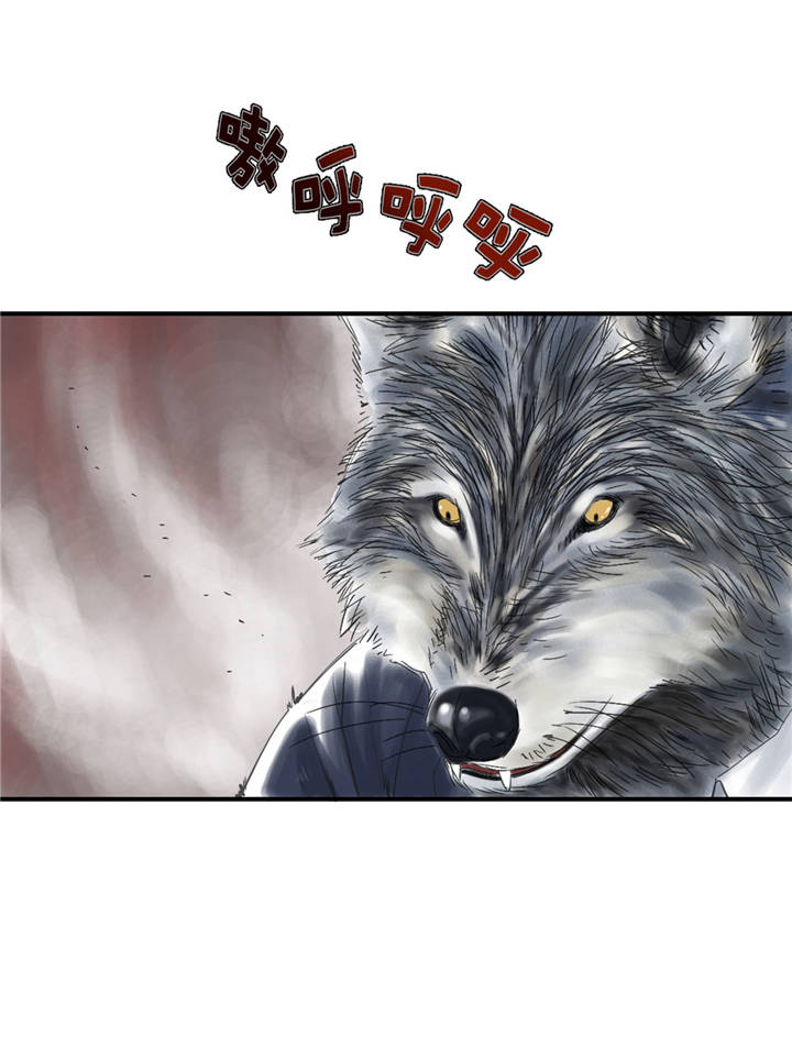 第35章：新兽种1