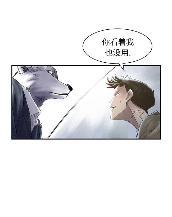 第35章：新兽种4