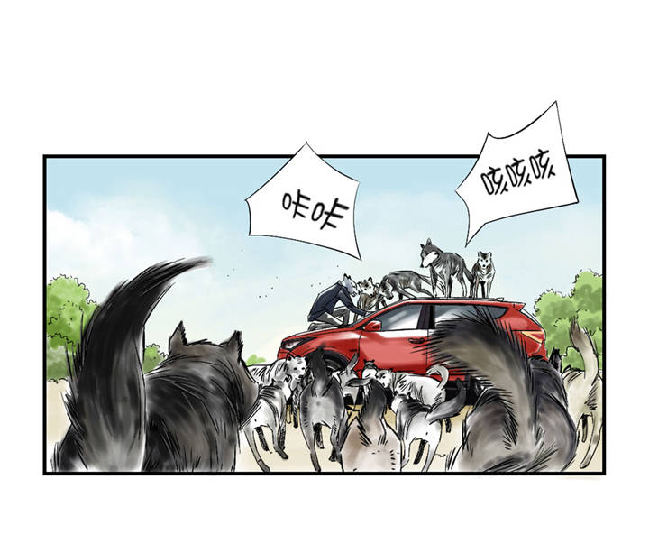 第37章：赌上警察生涯14