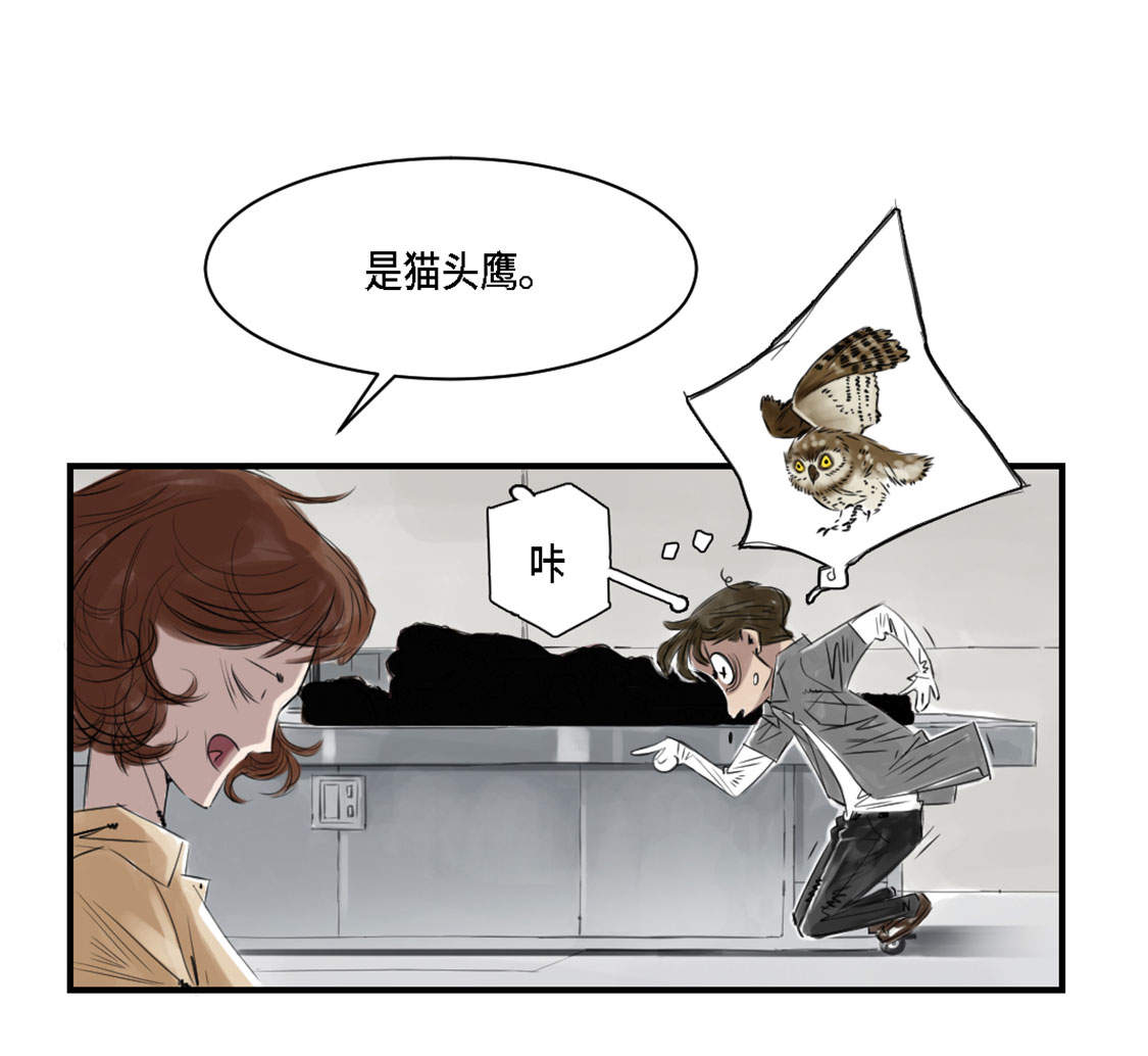 第2章：特别行动队16