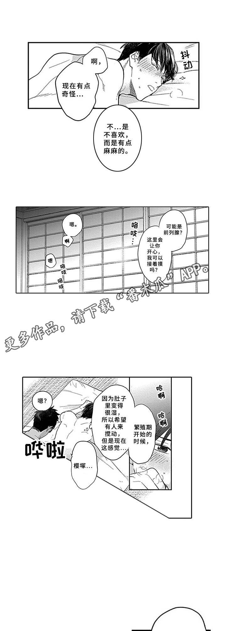 第19章：实话实说5